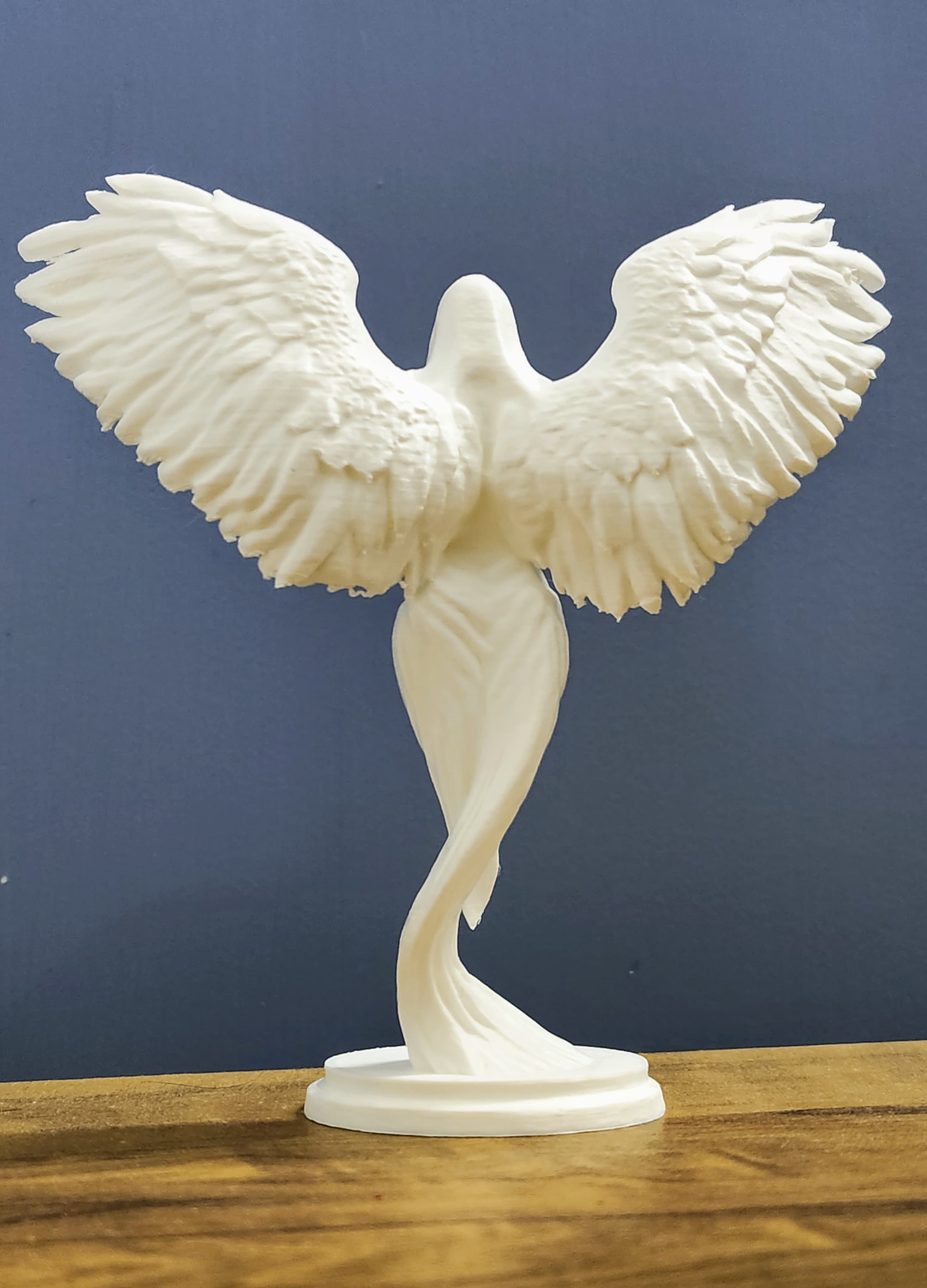 Celestial guardian 🌠