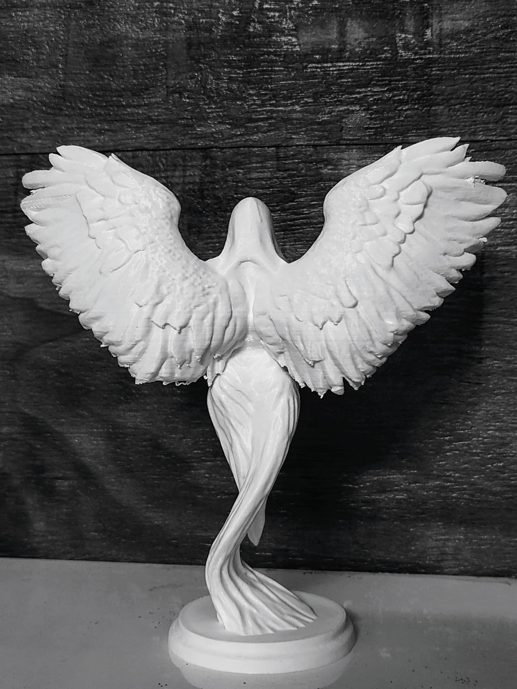 Celestial guardian 🌠